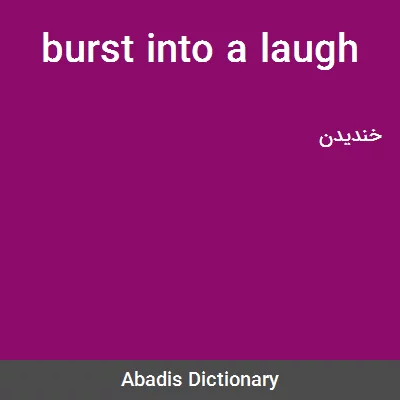 معنی burst into a laugh